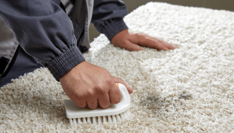 Professional Rug Cleaning Bannockburn